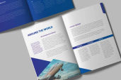 Annual Report Companies Performancejpg