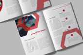 Annual Report Companies Profilejpg