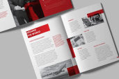 Annual Report Company Introductionjpg