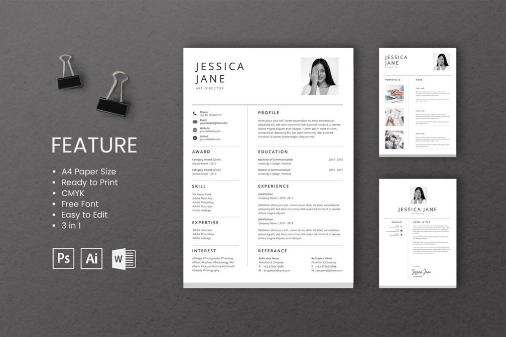 Cv Resume Art Director Profile 2