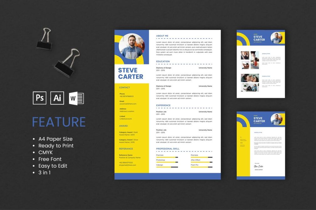 Cv Resume Art Director Profile 3