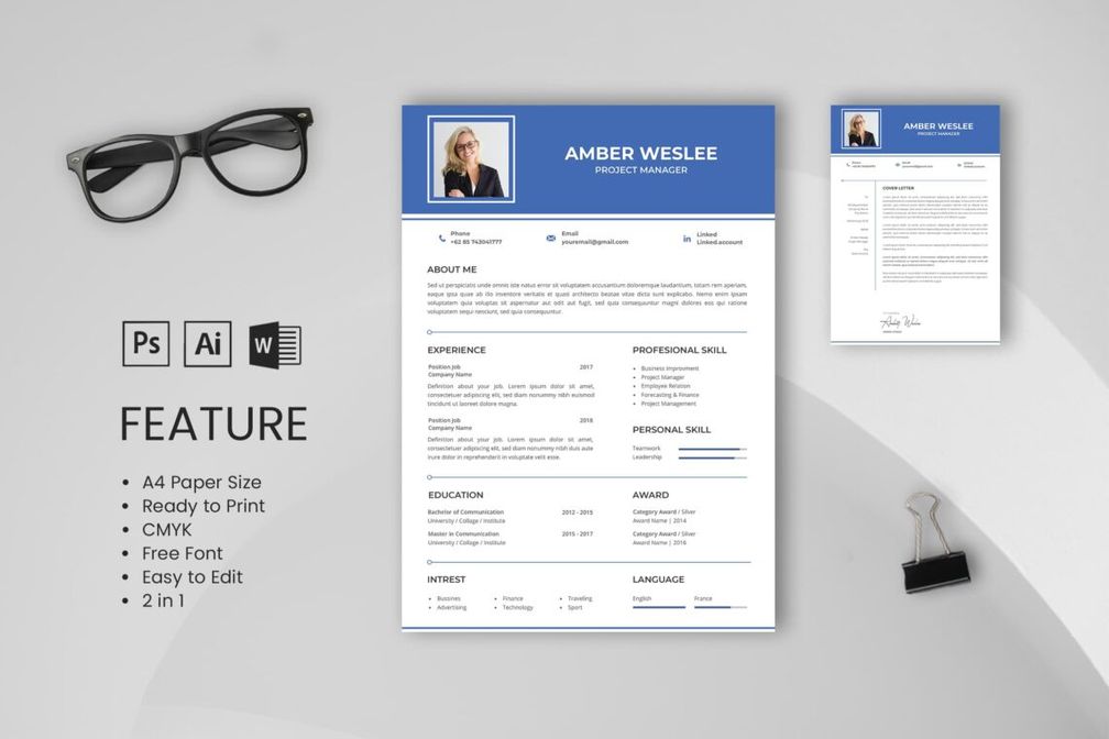 Cv Resume Project Manager Profile