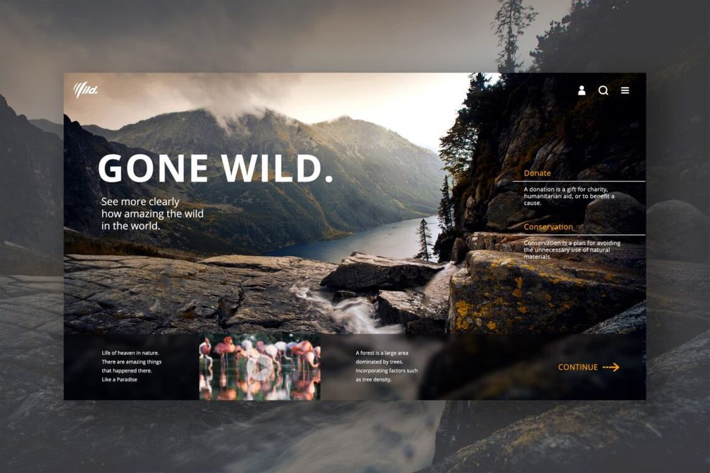 Hero Header Natural Forest Conservation