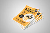 Preview1 Flyer 10jpg
