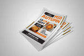 Preview1 Flyer 14jpg 1