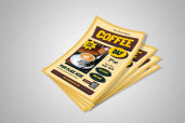 Preview1 Flyer 17jpg