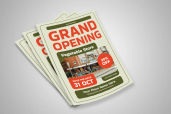 Preview2 Flyer 10jpg
