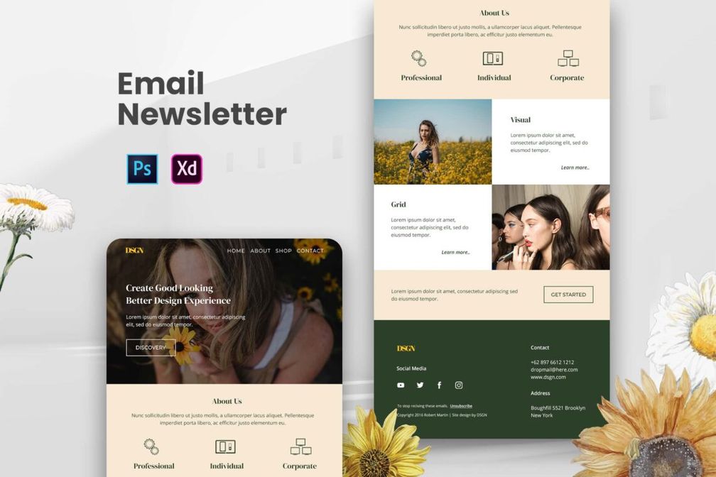 Professional Email Newsletter