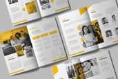 Proposal Creative Project Consultant