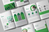 Proposal Website Design Services