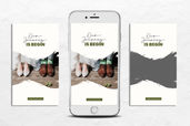 Instagram Stories - Wedding Party Theme