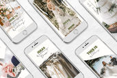 Instagram Stories - Wedding Party Theme