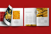 Magazine Template - Fruits Photography