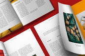 Magazine Template - Fruits Photography