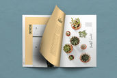 Magazine Template - Plants Portofolio