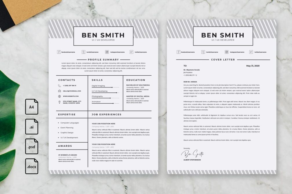 cv resume ui ux developer profile