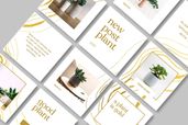Instagram Puzzle - Plant Post