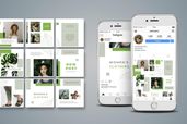 Ip 61