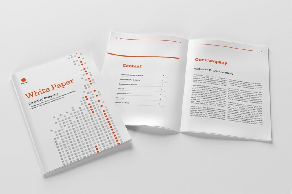 White Paper - Company Report