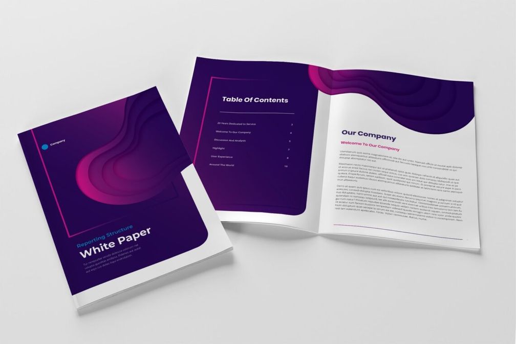 White Paper - Company Progress Report