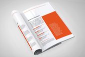 White Paper - Company Report