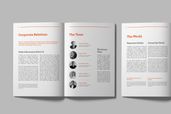 White Paper - Company Report