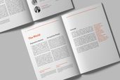 White Paper - Company Report