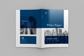 White Paper - Corporate Report