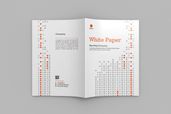 White Paper - Company Report
