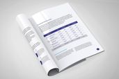 White Paper - Reporting Paper
