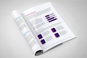 White Paper - Company Progress Report