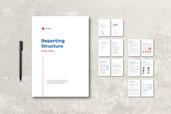 White Paper - Company Structure Report