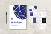 White Paper - Reporting Paper