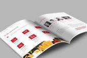 Proposal - Food Business Planner