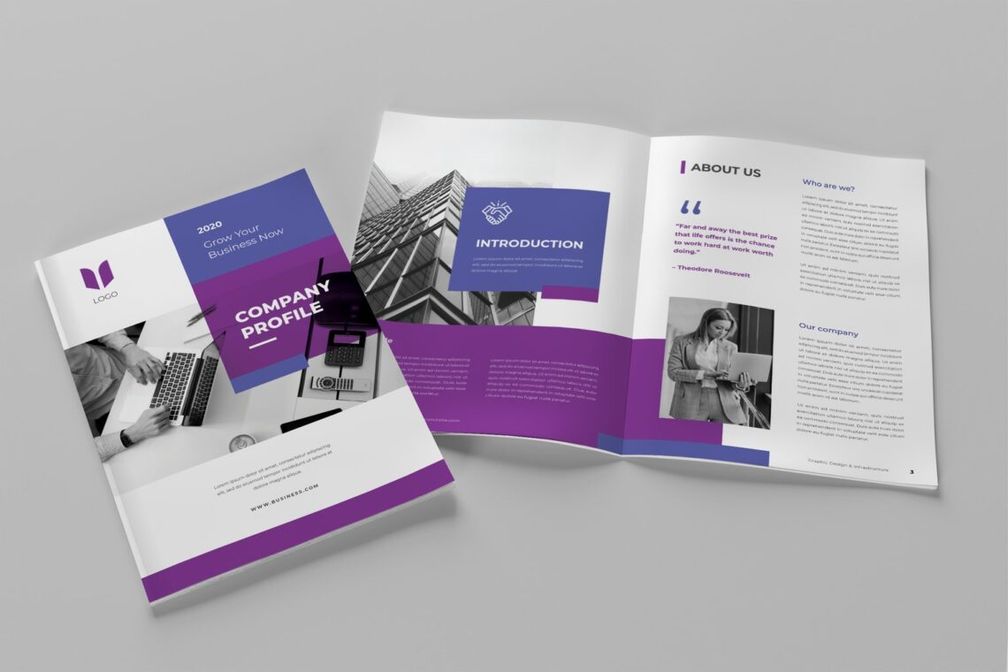 company profile business spring up 4