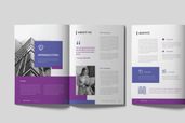 company profile business spring up