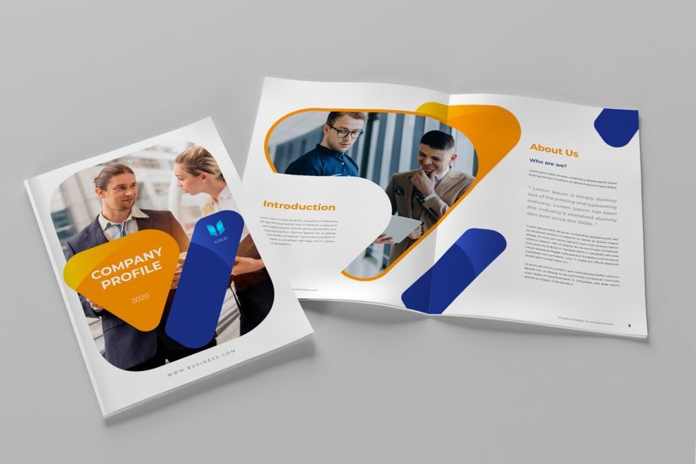Modern Consultant Company Profile