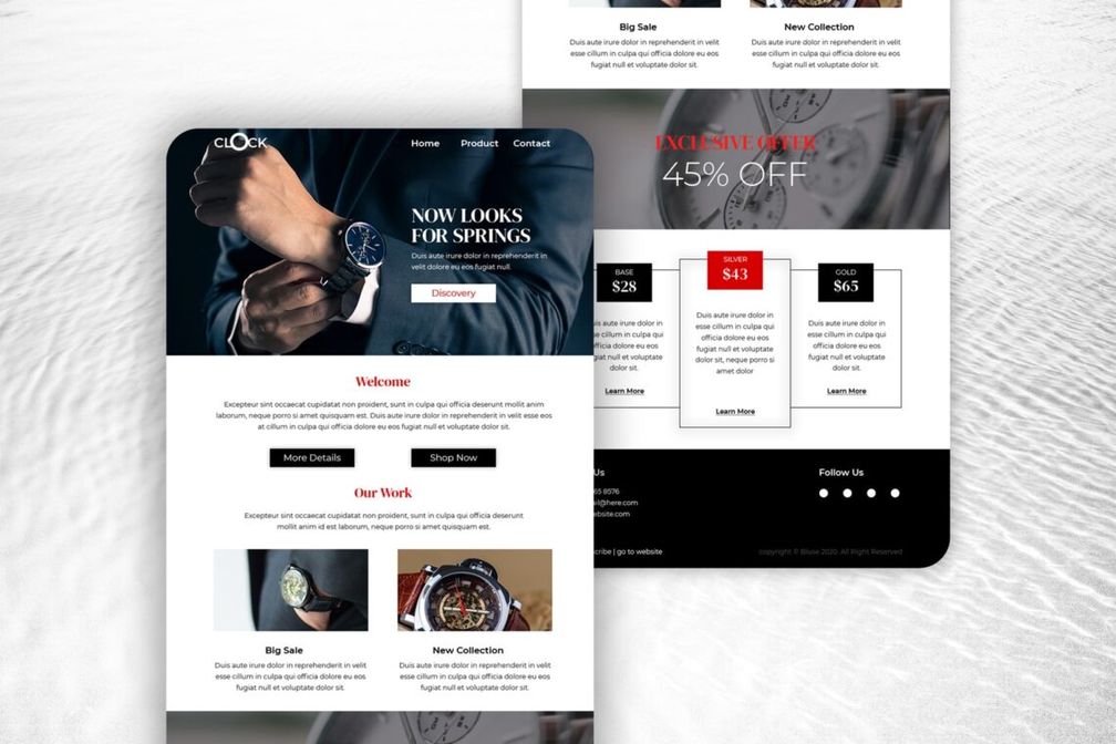 executive wristwatch email newsletter