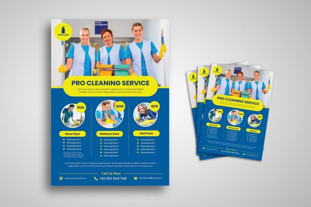 flyer professional cleaning services