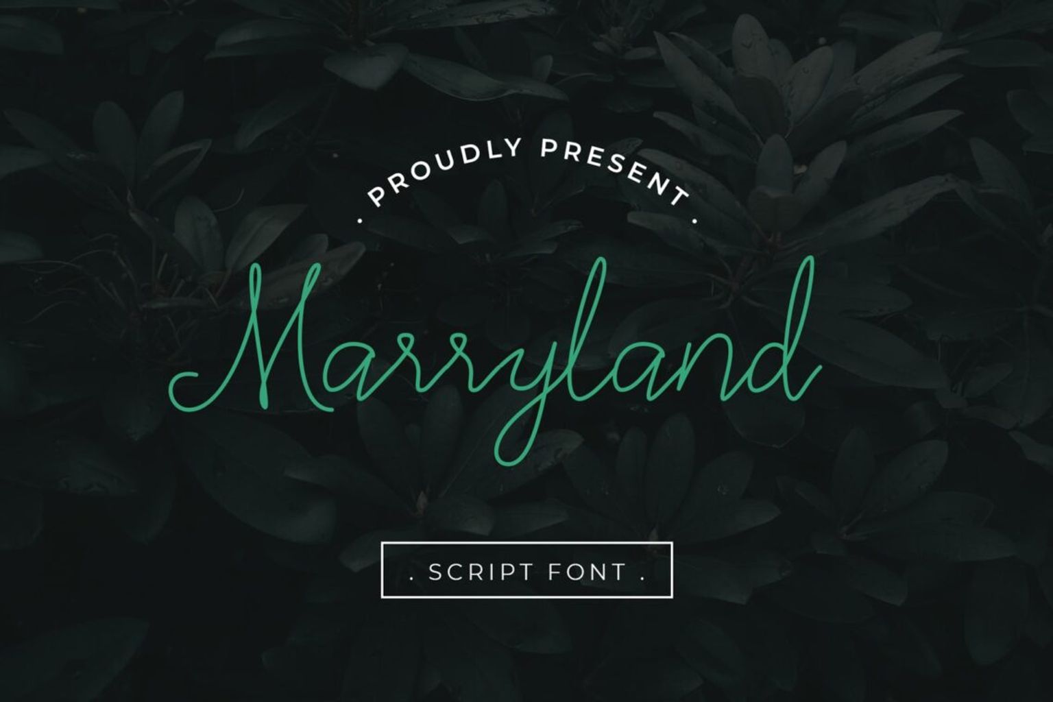 fonts marryland script 1