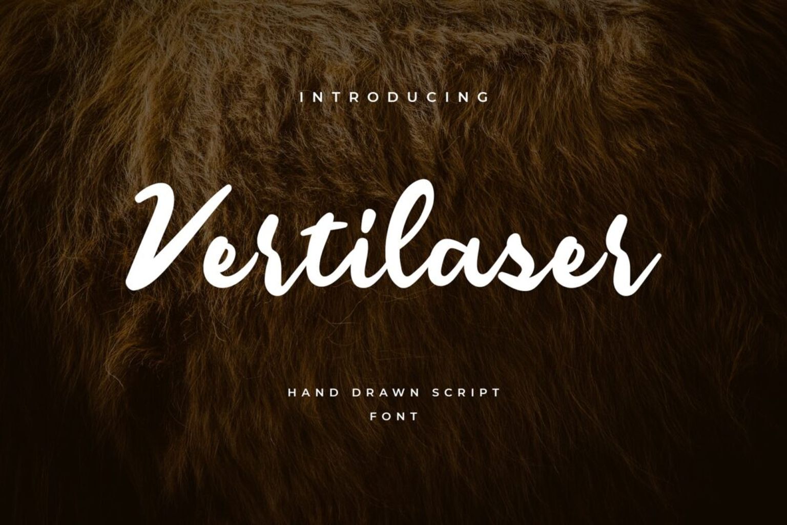 fonts vertilaser handrawn script