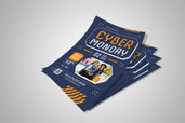 Preview1 Flyer 11