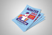 Preview1 Flyer 15