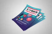 Preview1 Flyer 3
