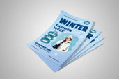 Preview1 Flyer 36