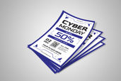 Preview1 Flyer 4