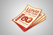 Preview1 Flyer 41