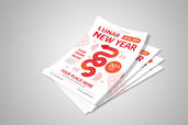 Preview1 Flyer 43