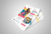 Preview1 Flyer 58