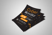 Preview1 Flyer 7